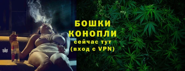 соль ск Гусев